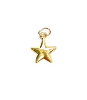 14KGF Star Charm 2092-C