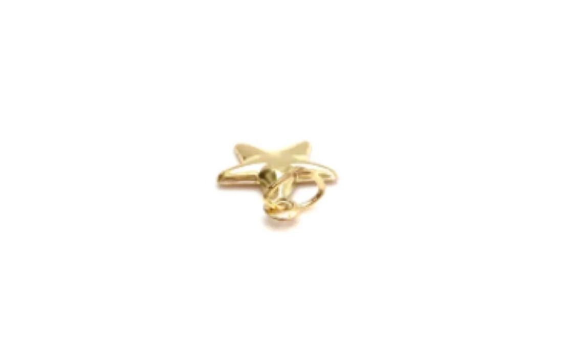14KGF Star Charm 2092-C