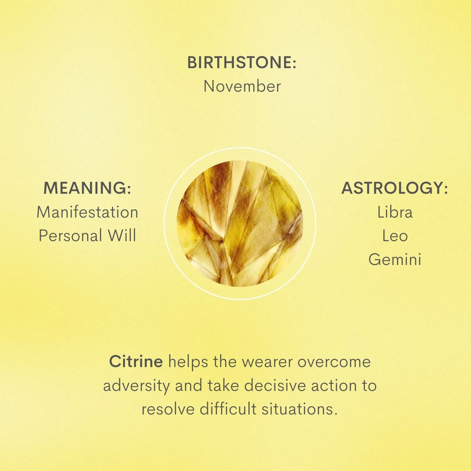 Birthstone Necklace - November