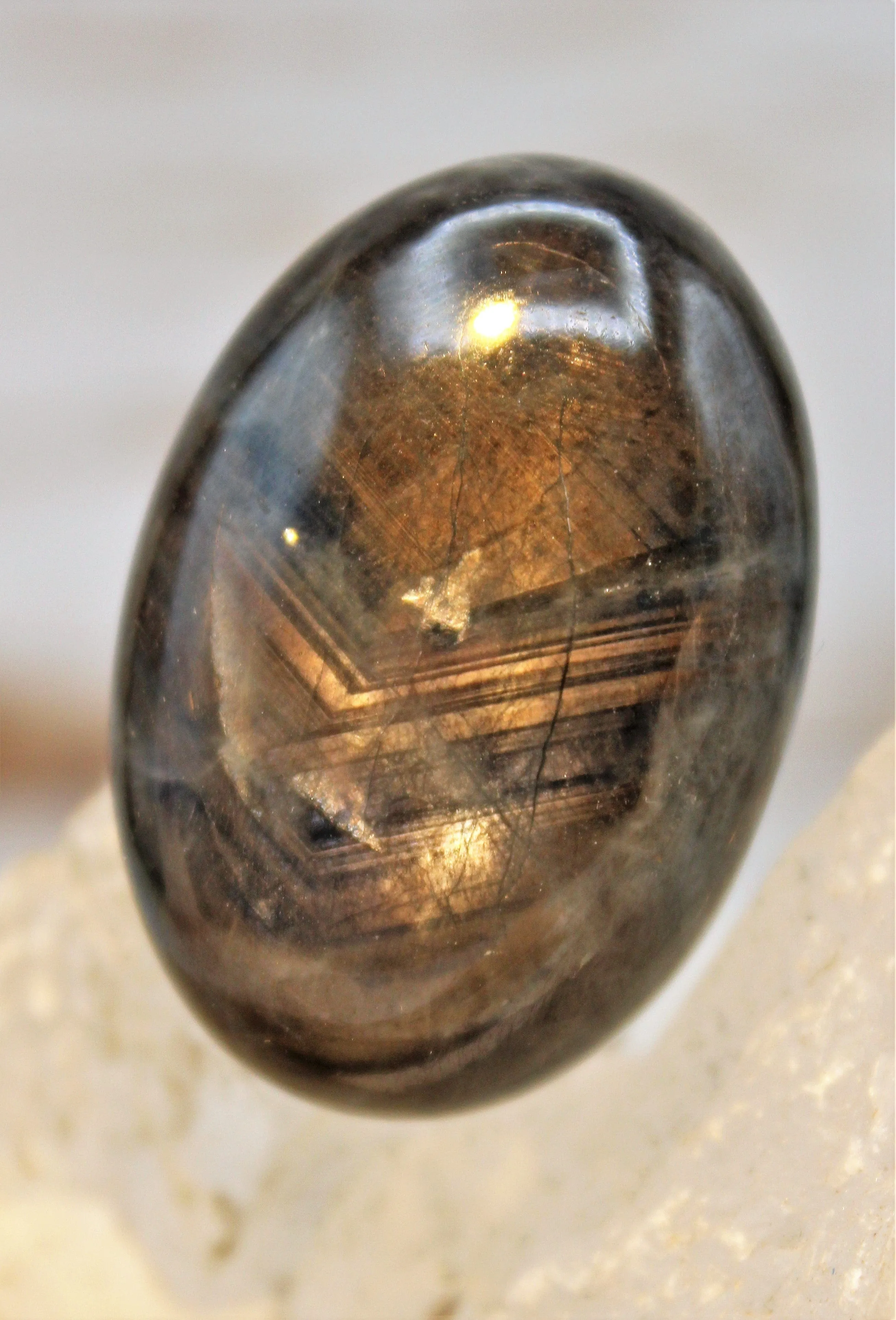 Black Star Sapphire Cabochon