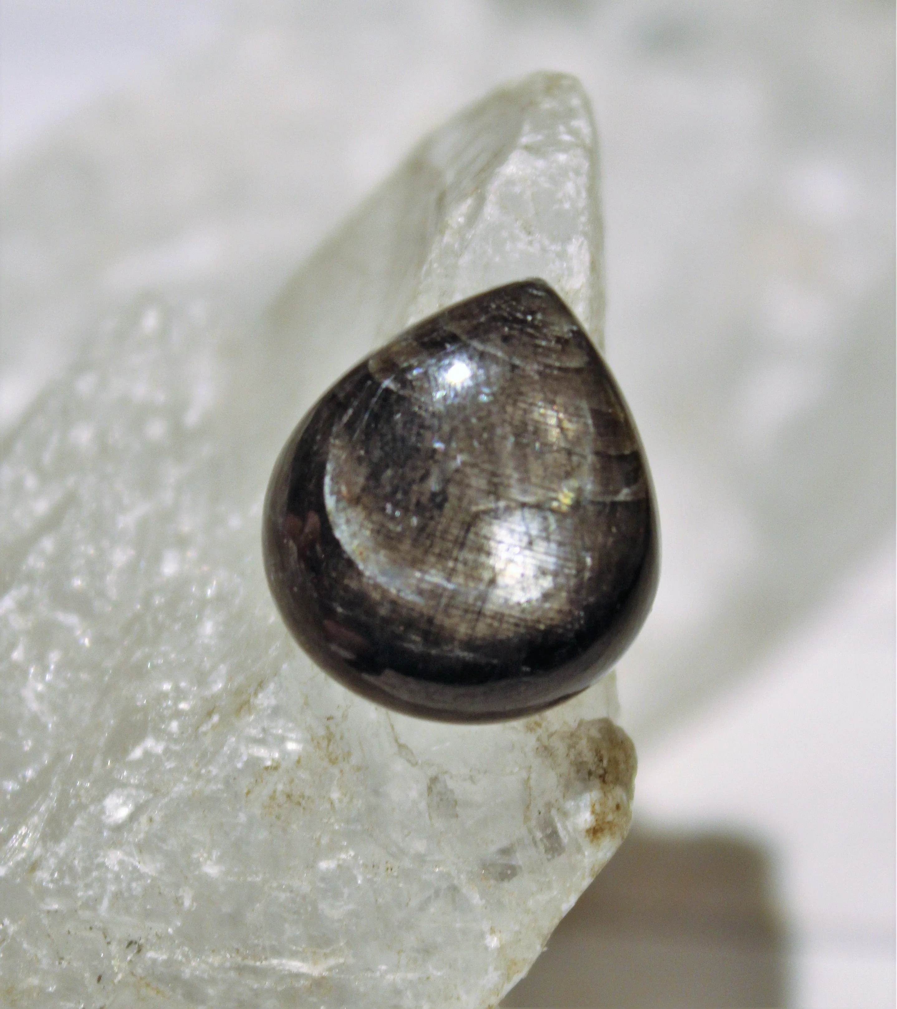 Black Star Sapphire Cabochon