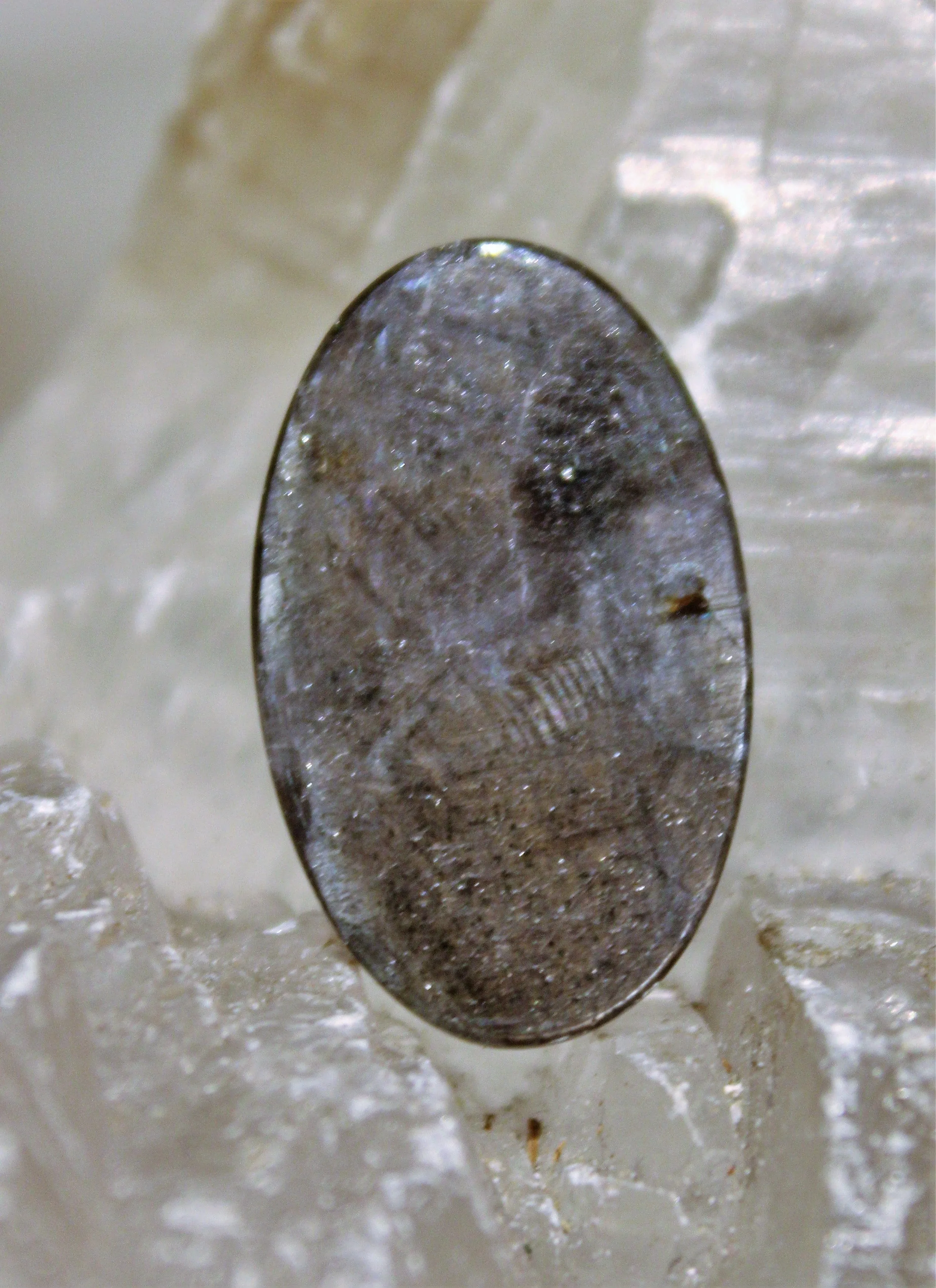 Black Star Sapphire Cabochon
