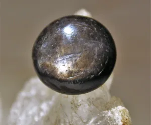 Black Star Sapphire Cabochon