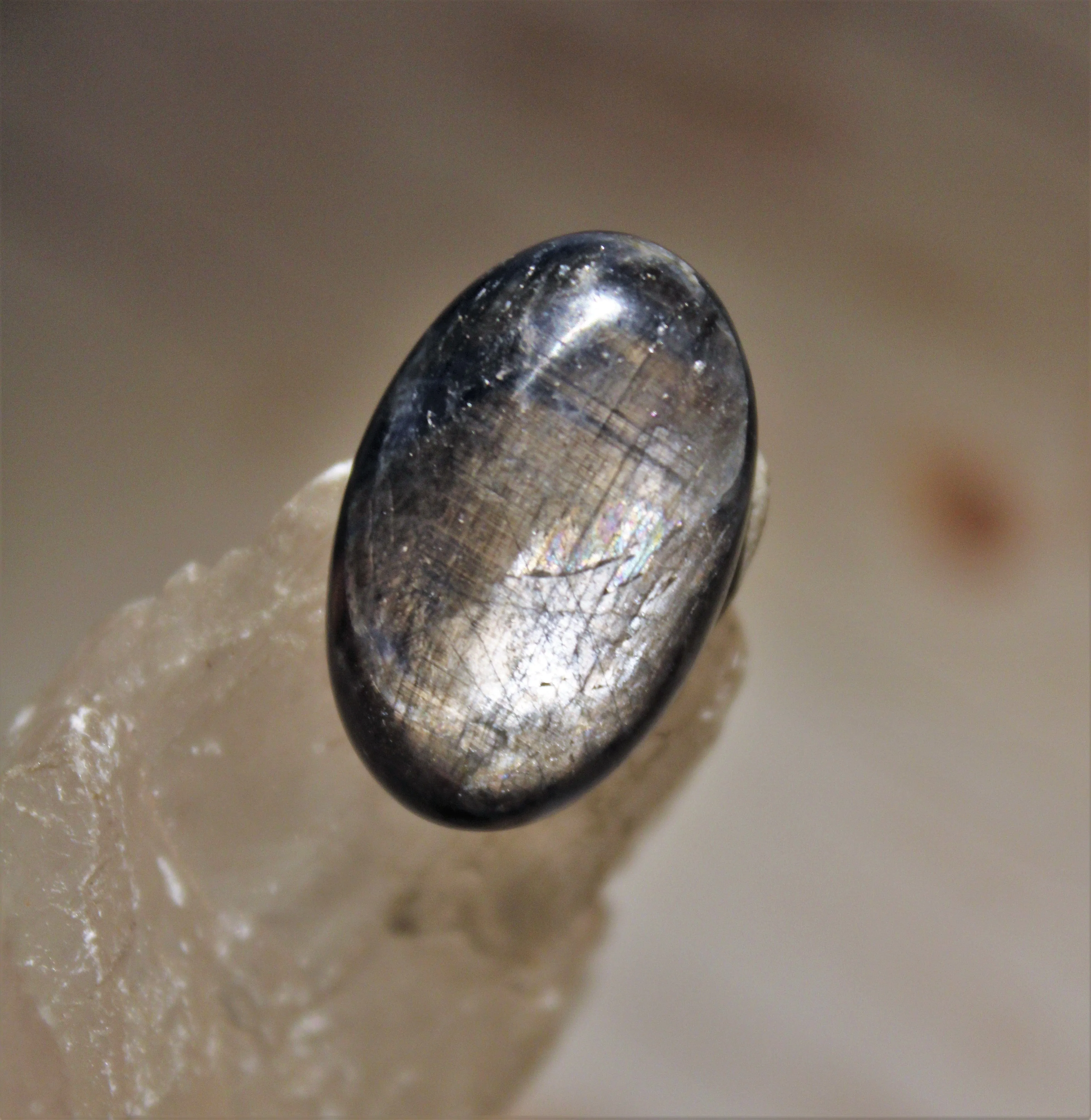 Black Star Sapphire Cabochon