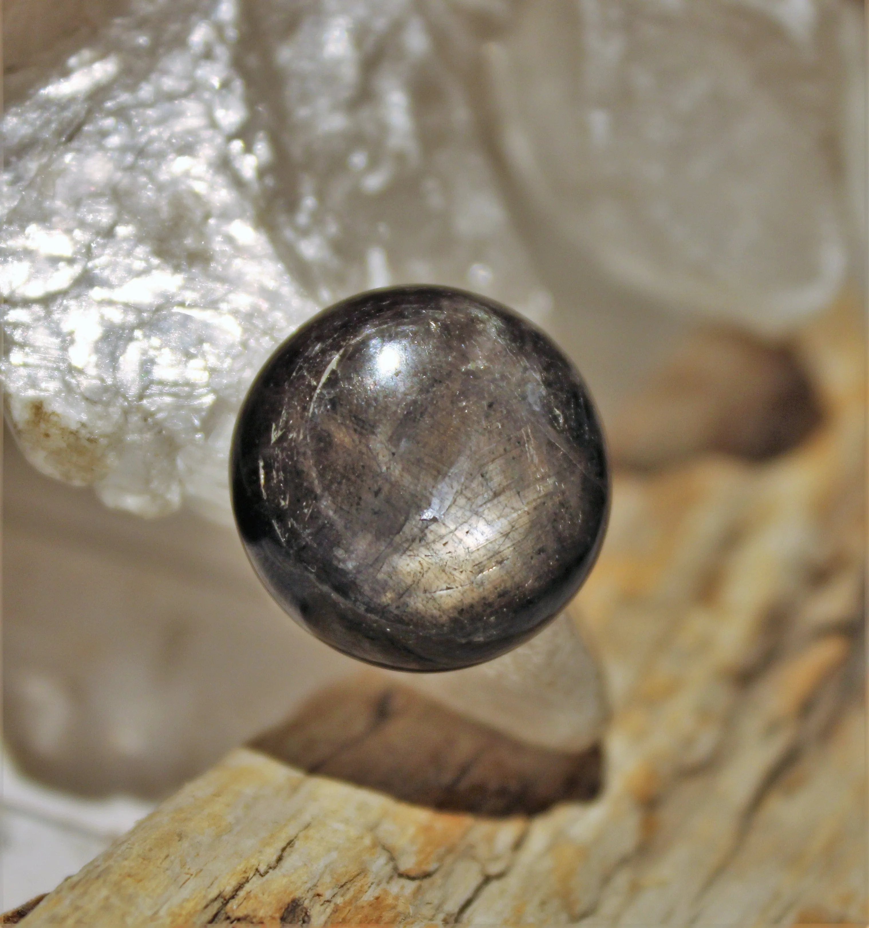 Black Star Sapphire Cabochon