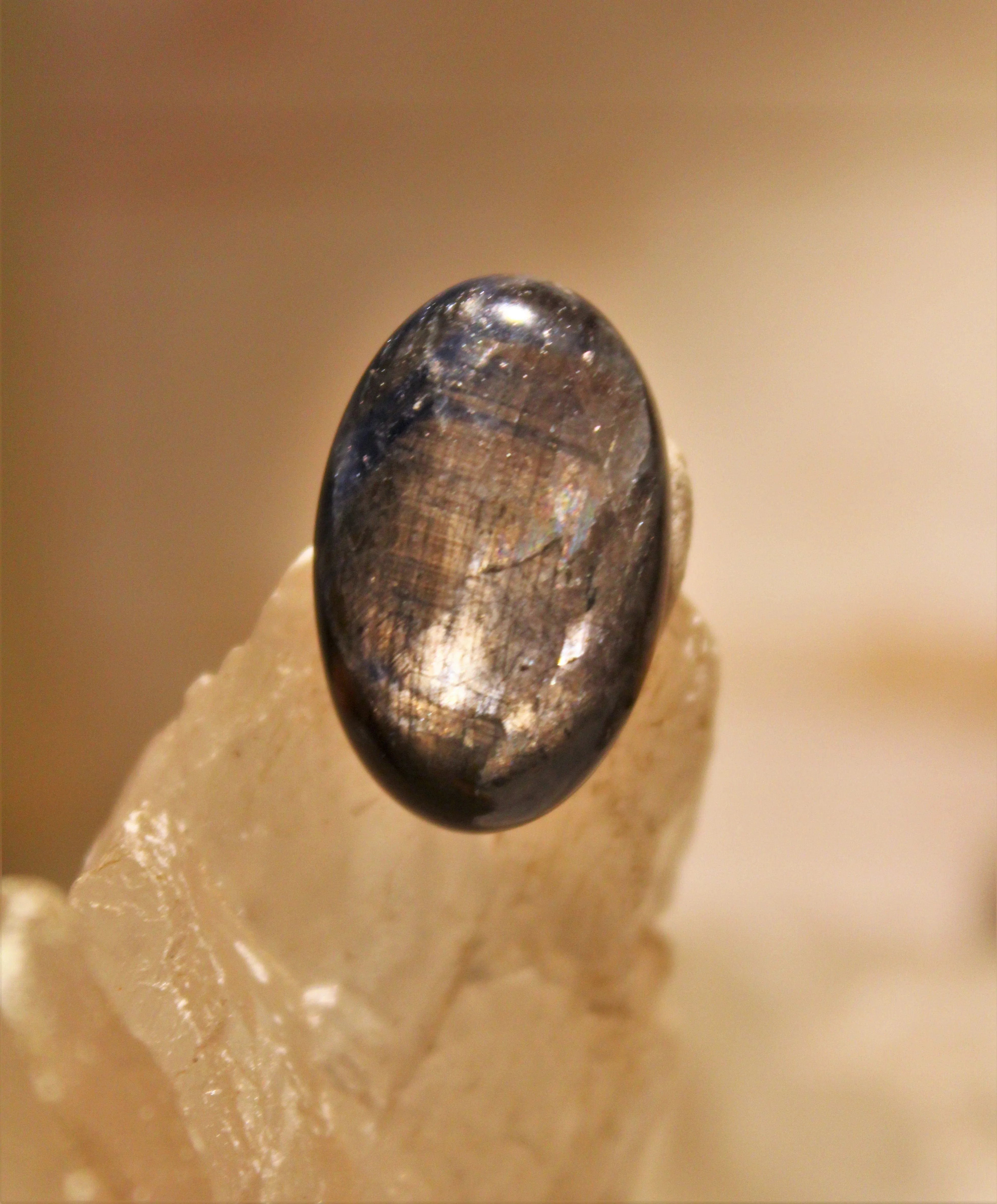 Black Star Sapphire Cabochon