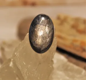 Black Star Sapphire Cabochon