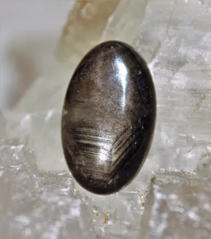 Black Star Sapphire Cabochon