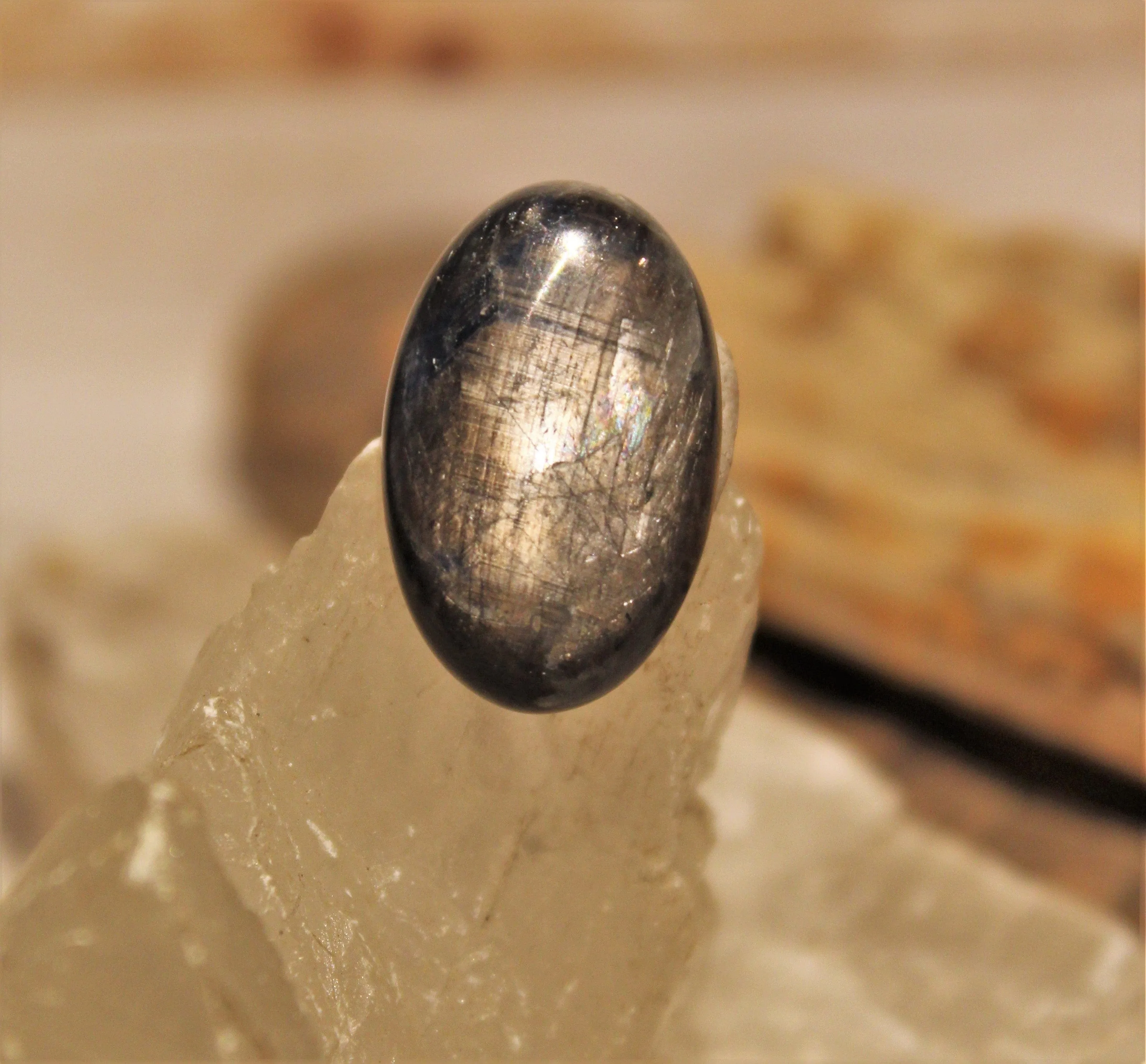 Black Star Sapphire Cabochon