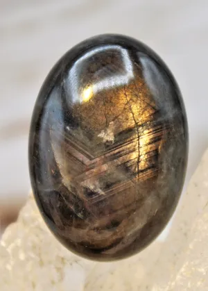 Black Star Sapphire Cabochon