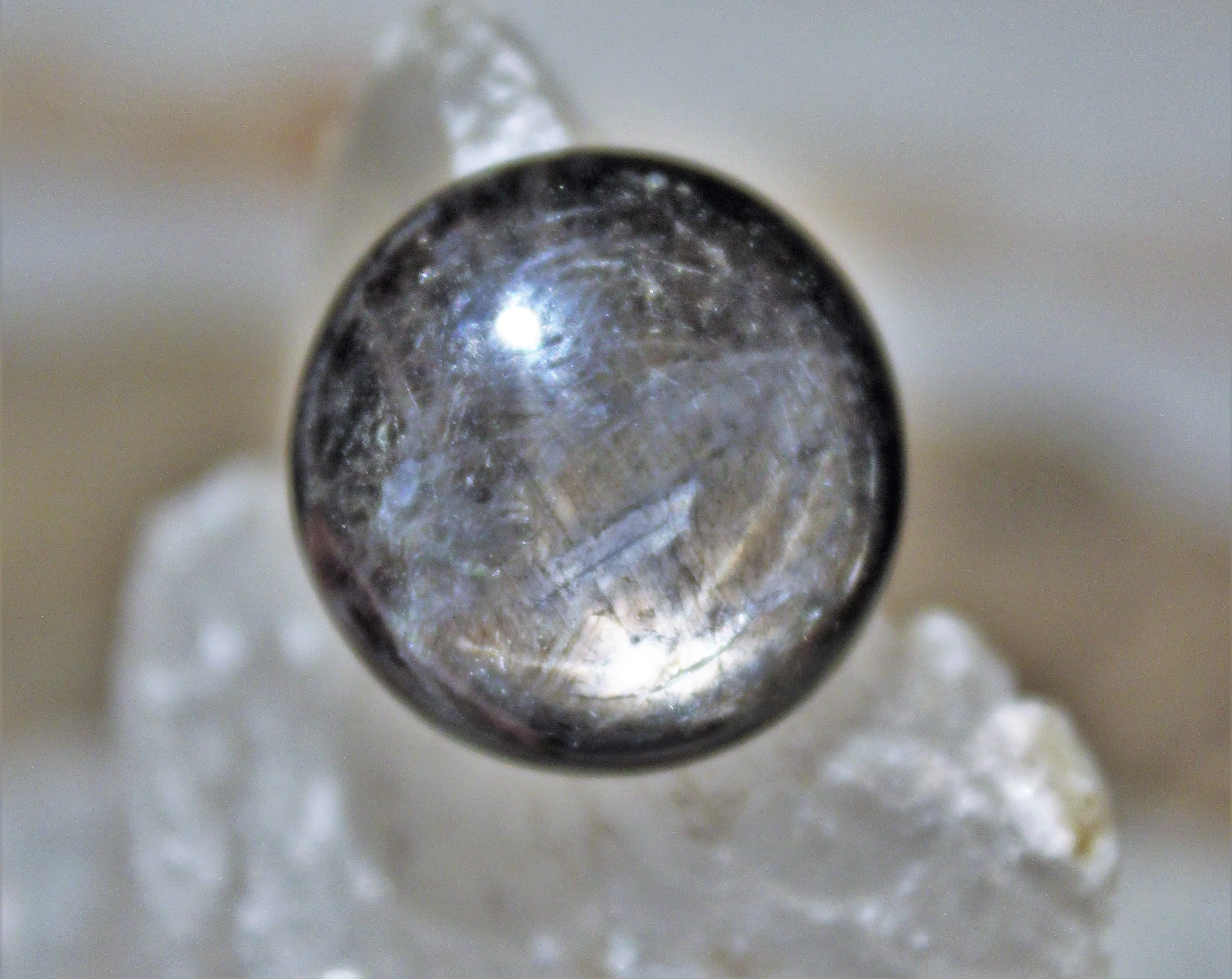 Black Star Sapphire Cabochon