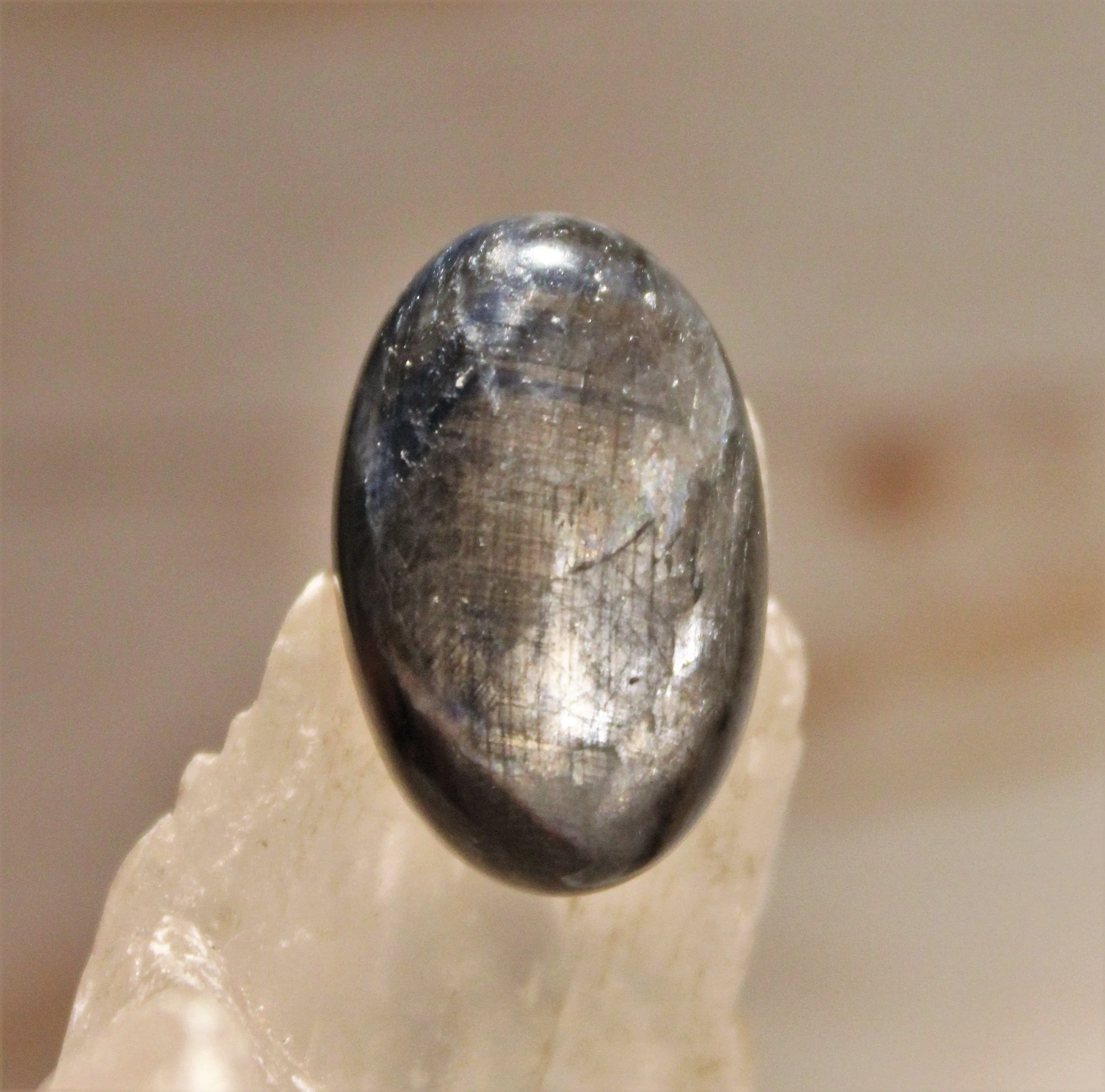 Black Star Sapphire Cabochon