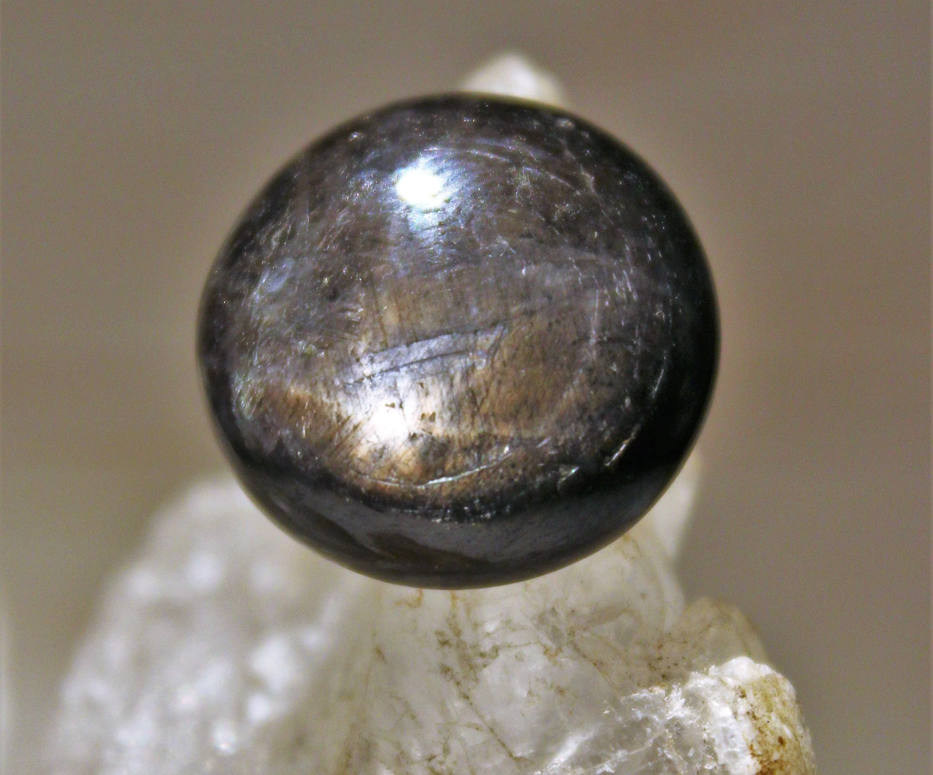 Black Star Sapphire Cabochon