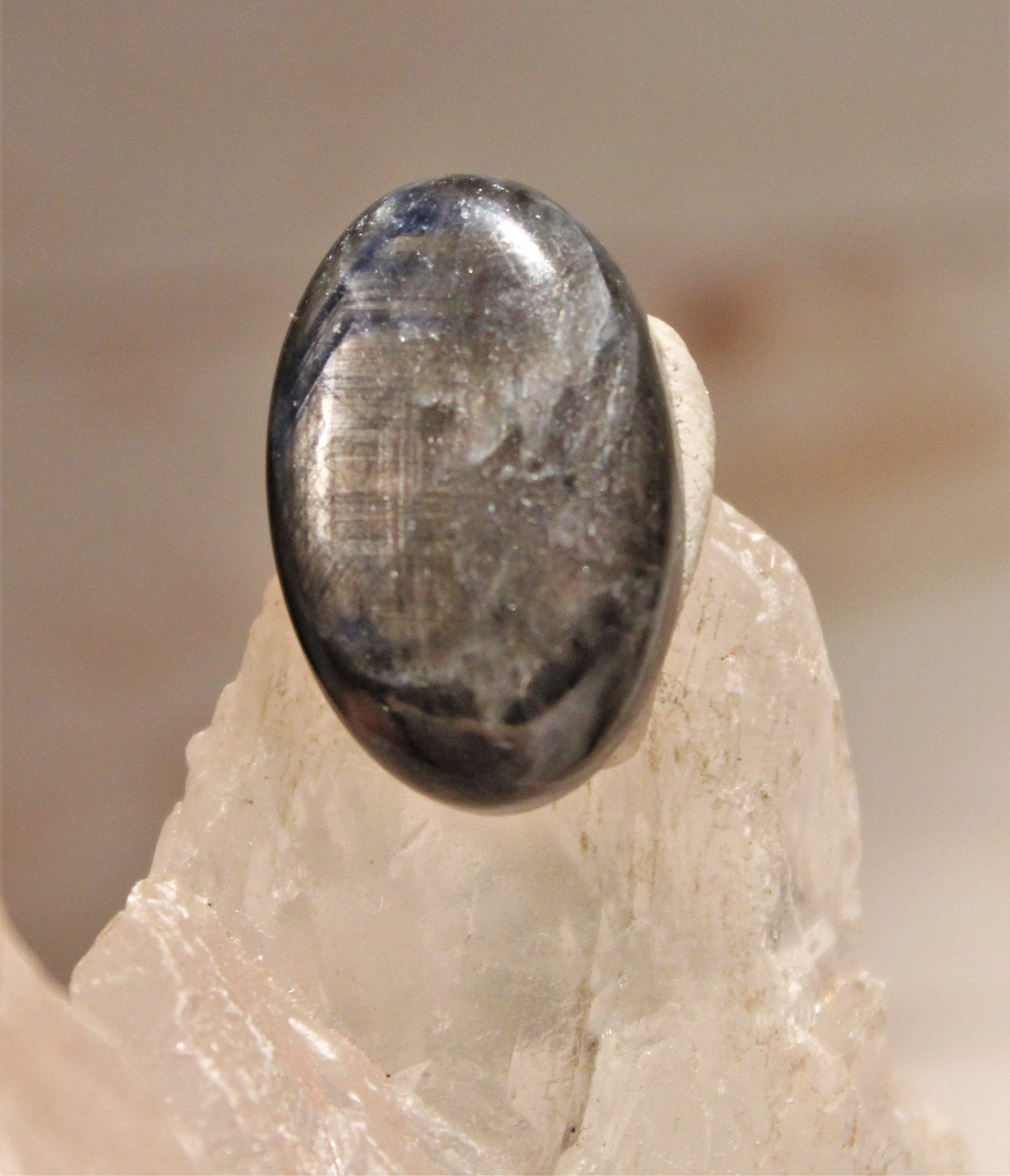 Black Star Sapphire Cabochon