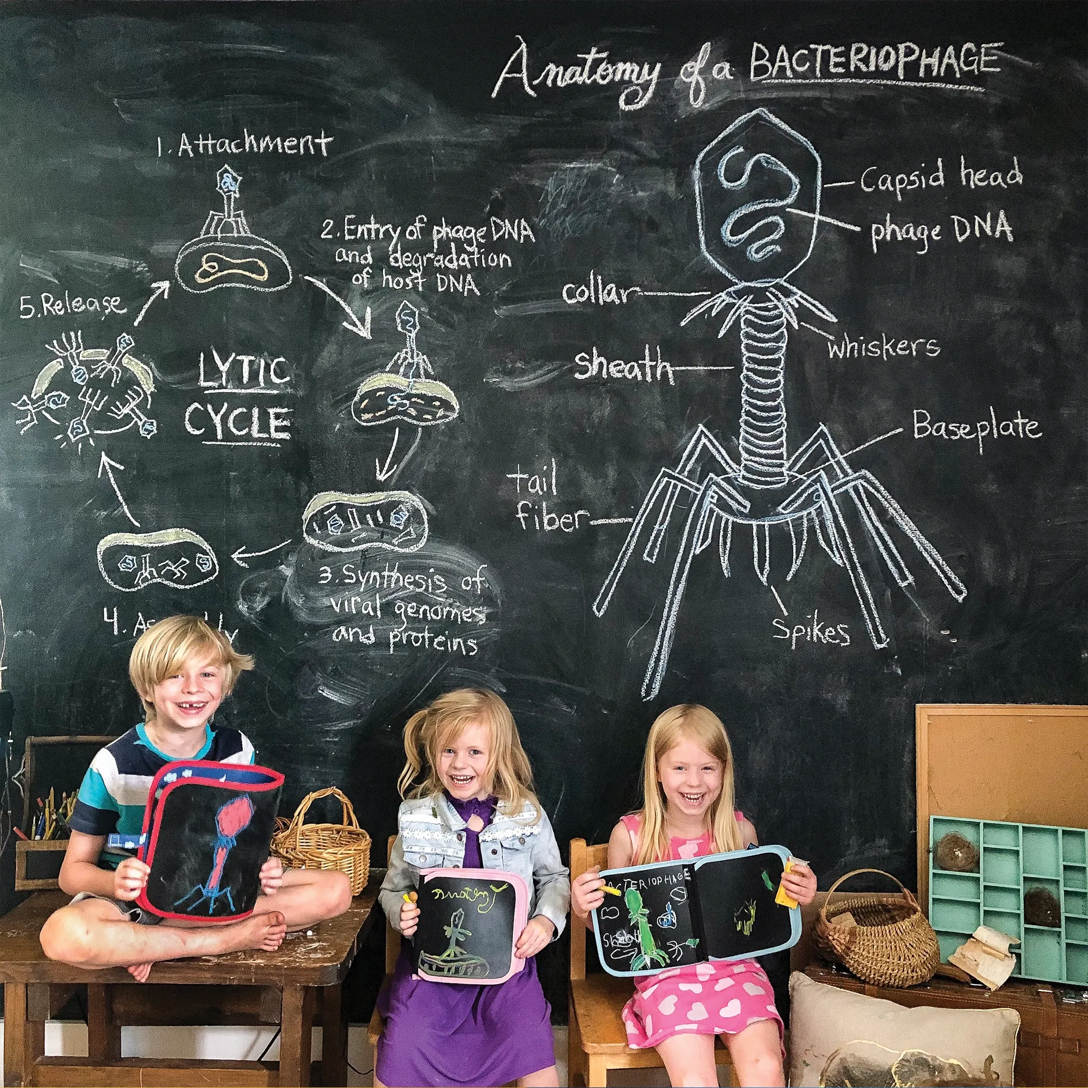 Doodle It & Go Erasable Book Owls on Trees