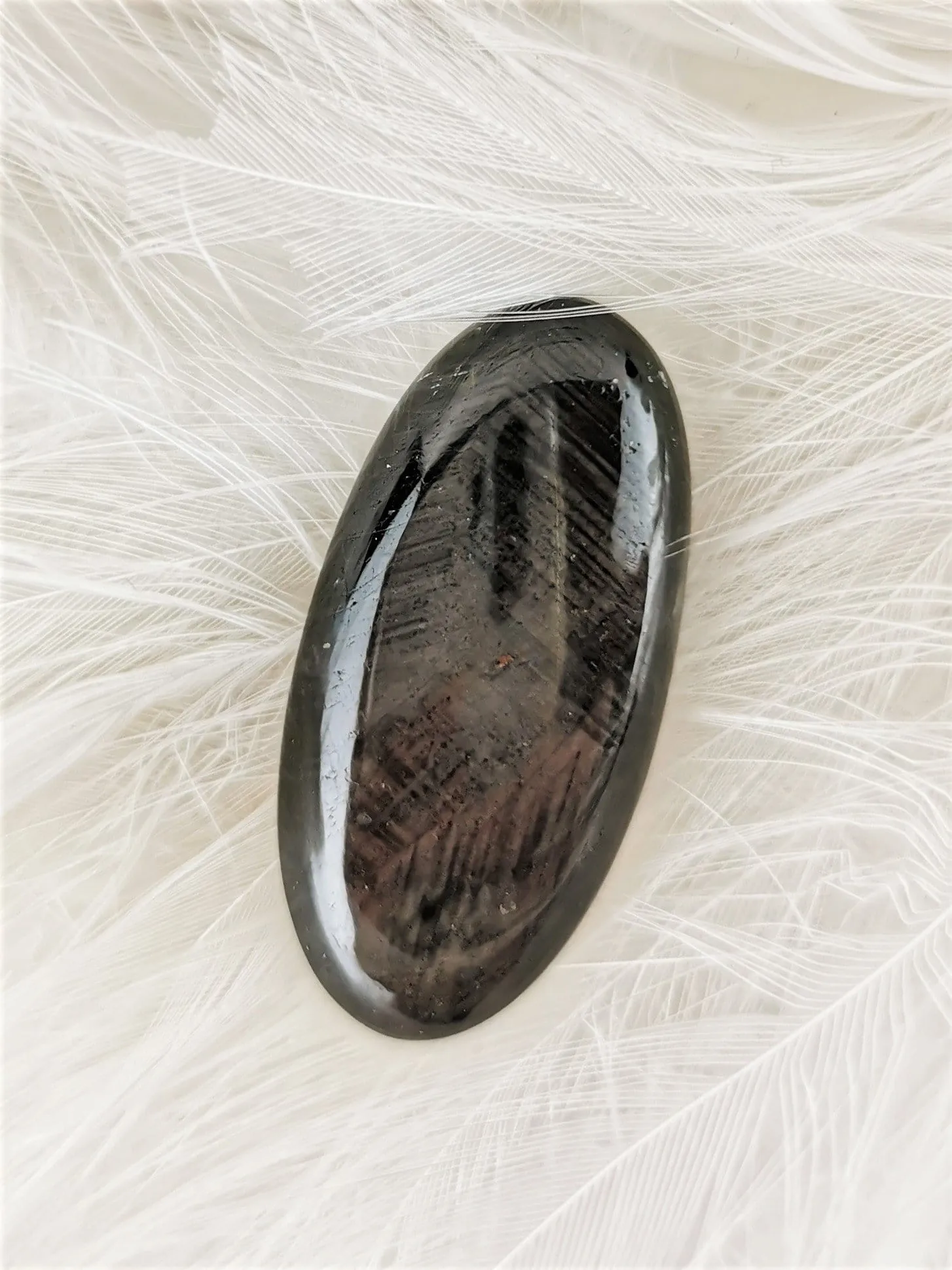 Eye of Odin Star Sapphire Cabochon