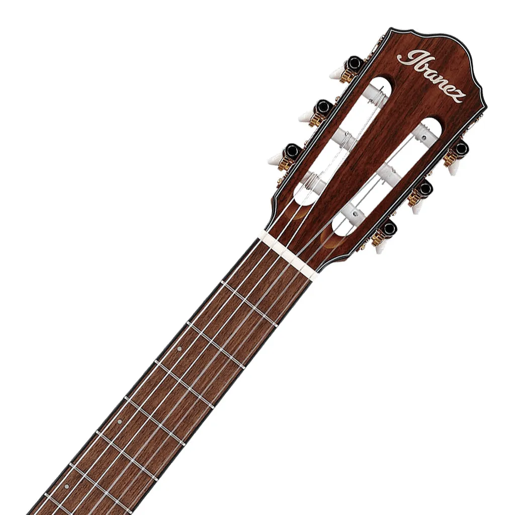 Ibanez FRH10N Indigo Metallic Flat Nylon String Guitar