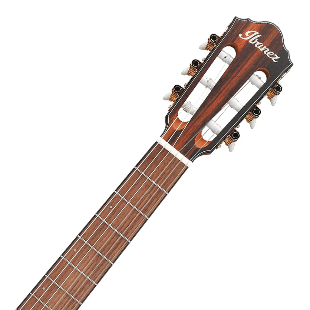Ibanez FRH10N Natural Flat Nylon String Guitar