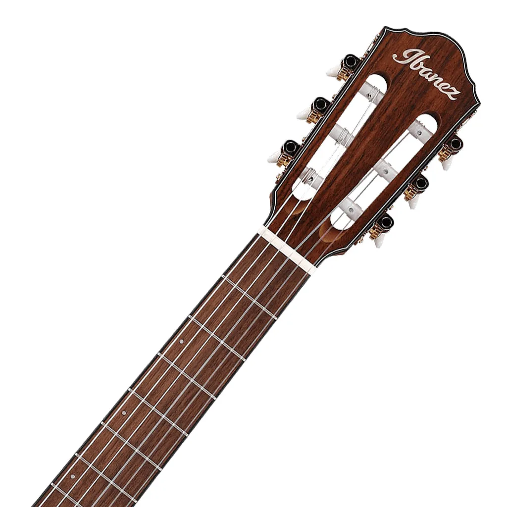 Ibanez FRH10N Rose Gold Metallic Flat Nylon String Guitar
