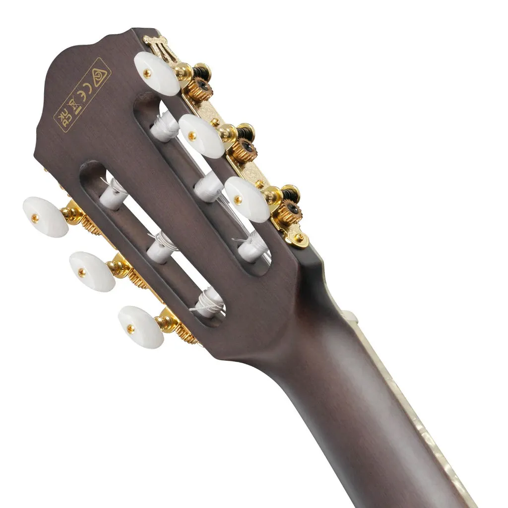 Ibanez Tim Henson TOD10NL Signature Left Handed Nylon Guitar