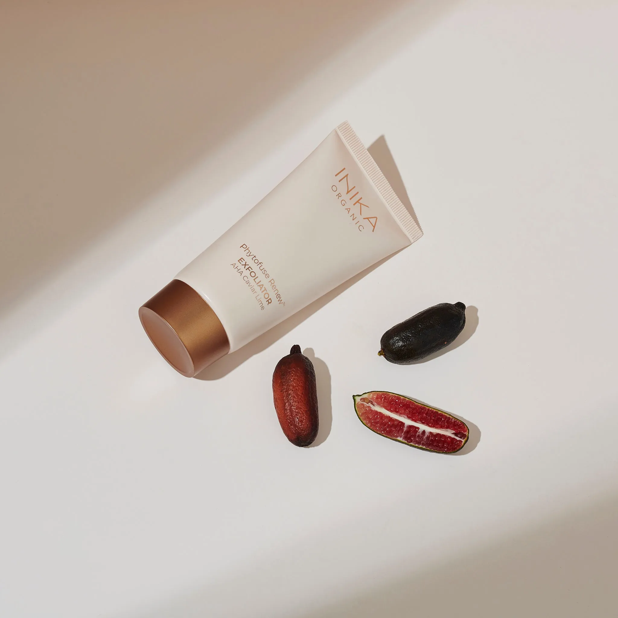 Phytofuse Renew Exfoliator